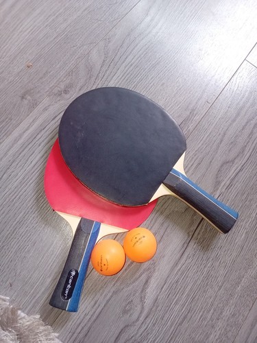 Carlton table tennis team pro - table,