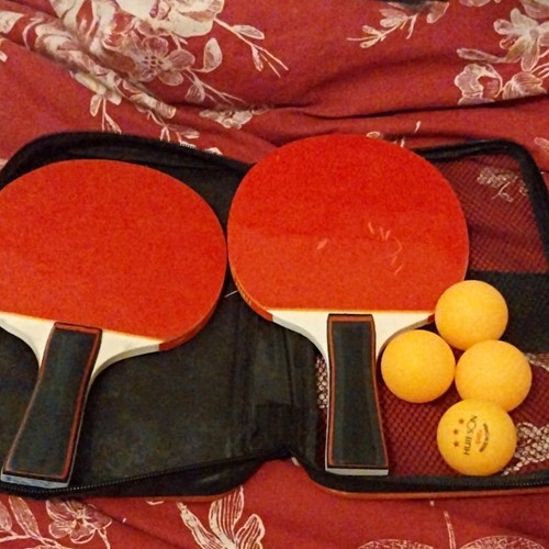 Hanson table tennis bat - table,